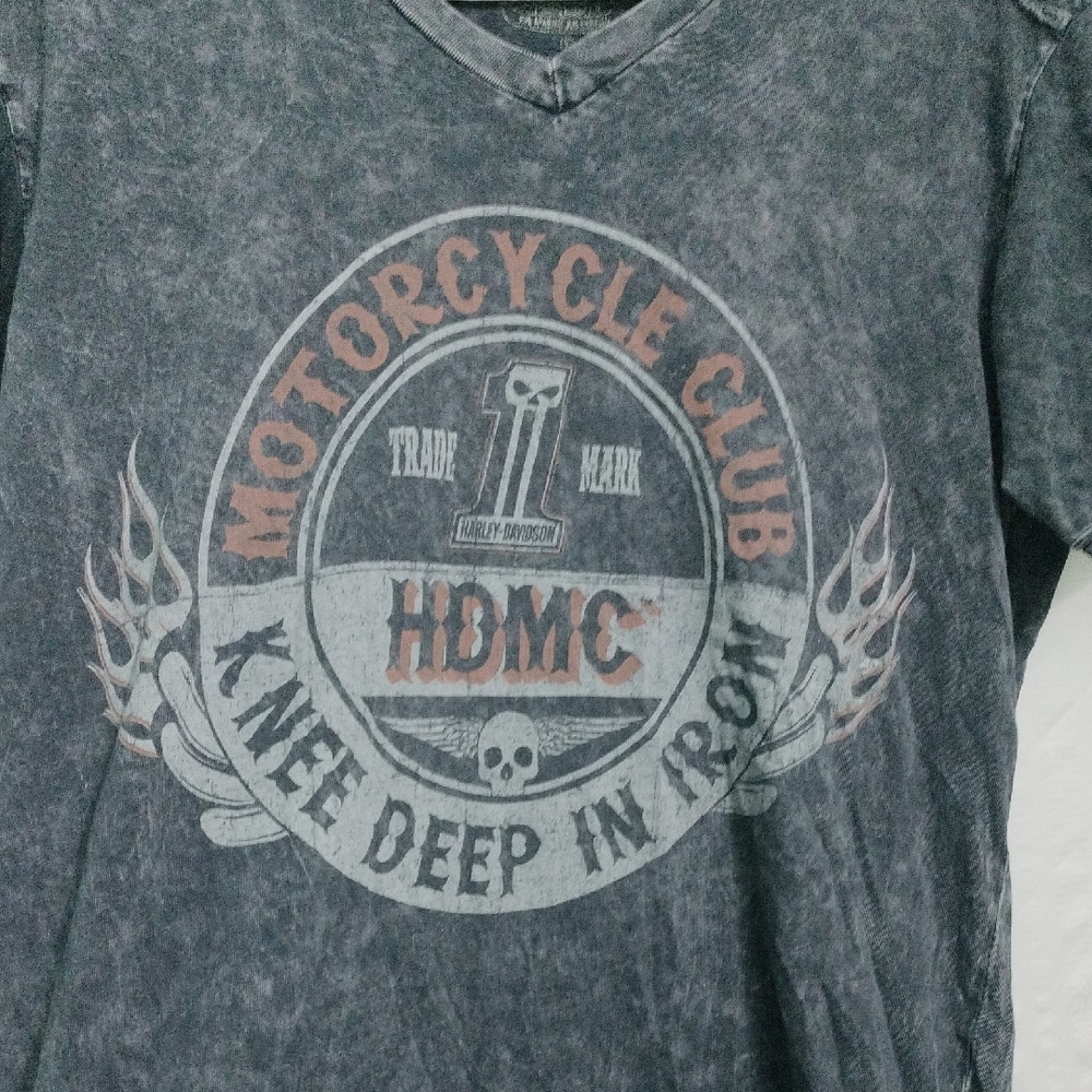 Harley-Davidson Gray Graphic T-Shirt